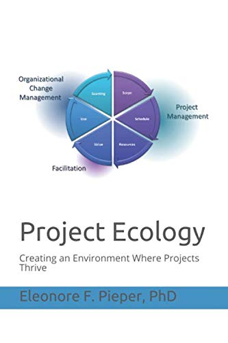 Imagen de archivo de Project Ecology: Creating an Environment Where Projects Thrive a la venta por Revaluation Books