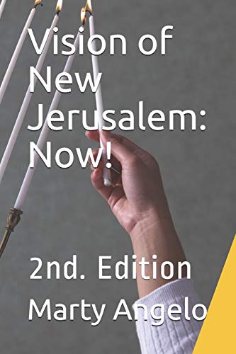 Stock image for Vision of New Jerusalem: Now!: 2nd. Edition for sale by Lucky's Textbooks