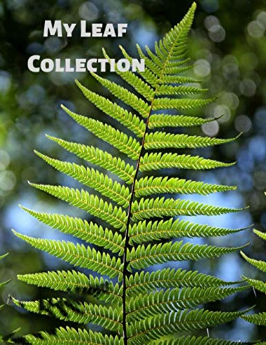 Stock image for My Leaf Collection: Activity Book for Adults and Kids of All Ages in 8.5" x 11" with 100 blank pages for sale by Revaluation Books