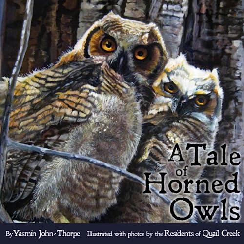 Stock image for A Tale of Horned Owls for sale by SecondSale