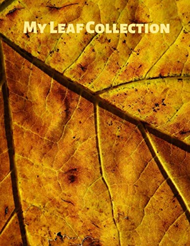 Stock image for My Leaf Collection: Activity Book for Adults and Kids of All Ages in 8.5" x 11" with 100 blank pages for sale by Revaluation Books