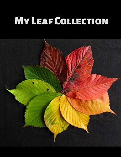 Stock image for My Leaf Collection: Activity Book for Adults and Kids of All Ages in 8.5" x 11" with 100 blank pages for sale by SecondSale