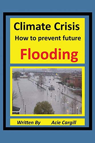 Beispielbild fr Climate Crisis: A Plan to Prevent Future Flooding zum Verkauf von Lucky's Textbooks