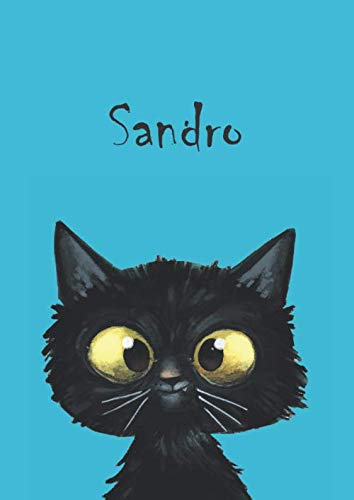 Beispielbild fr Sandro: Katze - Notizbuch / Malbuch - DIN A4 - blanko - glnzendes Coverfinish zum Verkauf von Buchpark