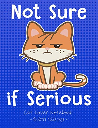 Stock image for NOT SURE IF SERIOUS Cat Lover Notebook: School Supplies Gift for Girls Love Kittens - 8.5x11 (Cat & Kitten Lovers) for sale by Lucky's Textbooks