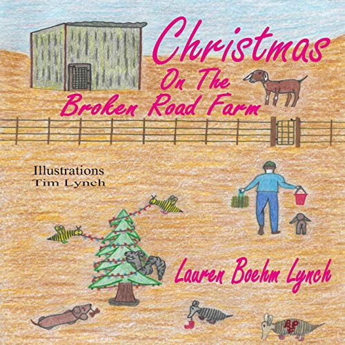 Stock image for Christmas on the Broken Road Farm for sale by Lucky's Textbooks