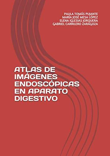 Stock image for ATLAS DE IMGENES ENDOSCPICAS EN APARATO DIGESTIVO for sale by Revaluation Books