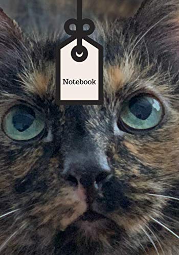 Beispielbild fr Notebook: Cat zum Verkauf von Revaluation Books