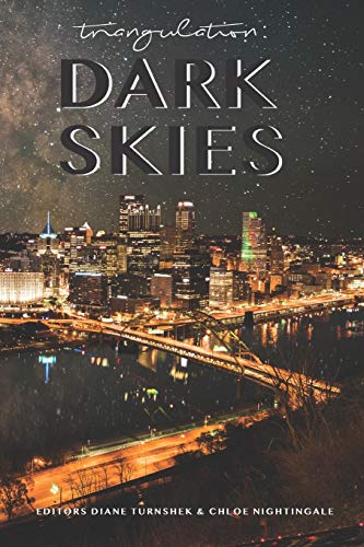 Beispielbild fr Triangulation: Dark Skies zum Verkauf von Revaluation Books