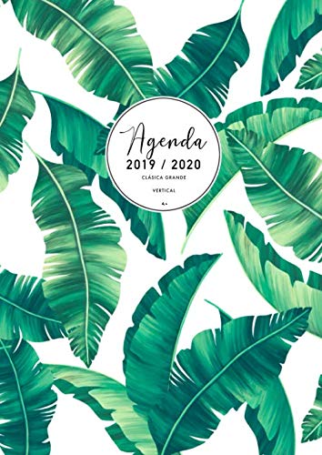 Imagen de archivo de Agenda Clsica Grande 2019 2020: Agenda 2019/2020 Semana Vista Vertical | Agenda 17 Meses | Agosto 2019 - Diciembre 2020 | Agenda en espaol | Tamao A4 | Hojas de palma a la venta por Revaluation Books