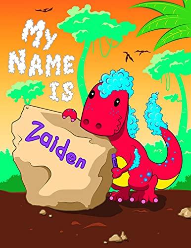 Imagen de archivo de My Name is Zaiden: 2 Workbooks in 1! Personalized Primary Name and Letter Tracing Book for Kids Learning How to Write Their First Name and the . for Children in Pre-k and Kindergarten [Soft Cover ] a la venta por booksXpress