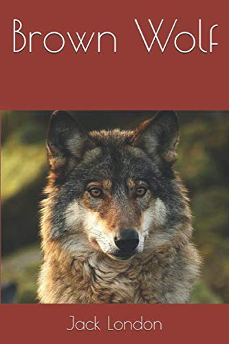 9781085911429: Brown Wolf