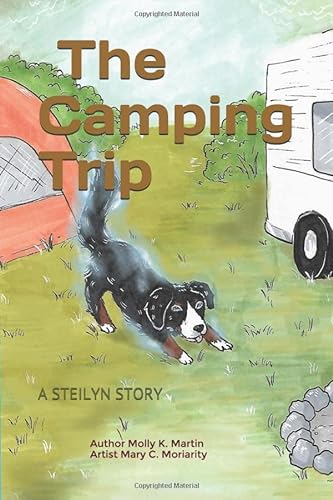 Stock image for The Camping Trip: A Steilyn Story for sale by Decluttr