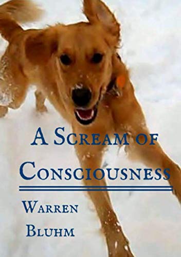 Stock image for A Scream of Consciousness: Wake Up and Embrace the Present Moment for sale by Revaluation Books