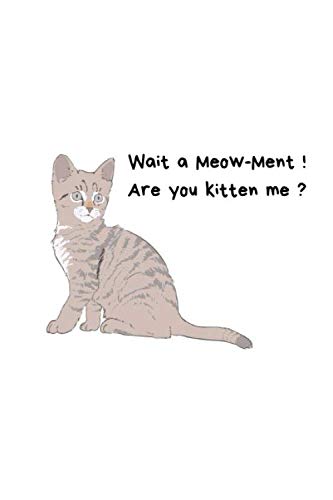 9781086675542: Wait a meow-ment ! are you kitten me ?: Funny Cat Notebook  Novelty Gift for Women Men ~ Diary for Cat Lovers, Blank Lined Travel  Journal to Write In Ideas -