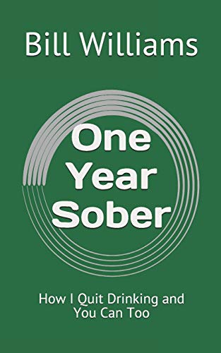 Beispielbild fr One Year Sober: How I Quit Drinking and You Can Too zum Verkauf von WorldofBooks