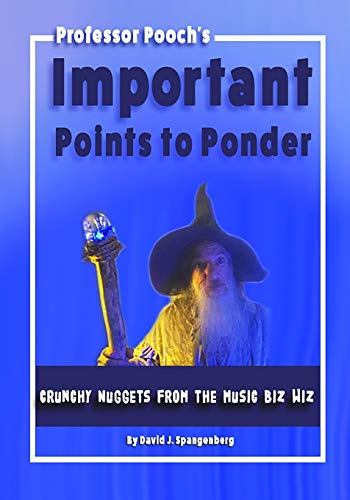 Stock image for Important Points to Ponder: Crunchy Nuggets from the Music Biz Wiz for sale by Lucky's Textbooks