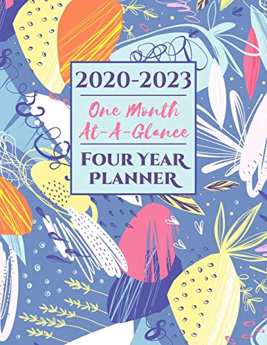Stock image for One Month at a Glance 2020-2023 Four Year Planner: Large Appointment Gift Organizer | 48 Month Agenda, Letter Sized: 8.5 x 11 inch; 21.59 x 27.94 cm for sale by Revaluation Books