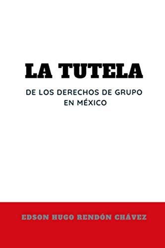 Stock image for La tutela de los derechos de grupo en Mxico for sale by Revaluation Books