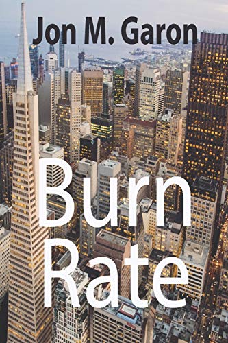 Imagen de archivo de Burn Rate a la venta por Lucky's Textbooks