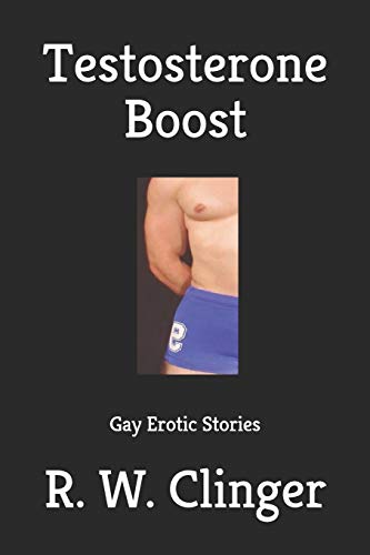 Imagen de archivo de Testosterone Boost: Gay Erotic Stories a la venta por Lucky's Textbooks