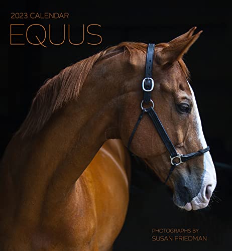 EQUUS PHOTOGRAPHS BY SUSAN FRIEDMAN...