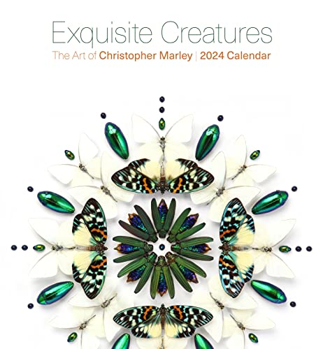 Beispielbild fr Exquisite Creatures zum Verkauf von GreatBookPrices