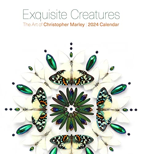 Stock image for Exquisite Creatures for sale by PBShop.store US
