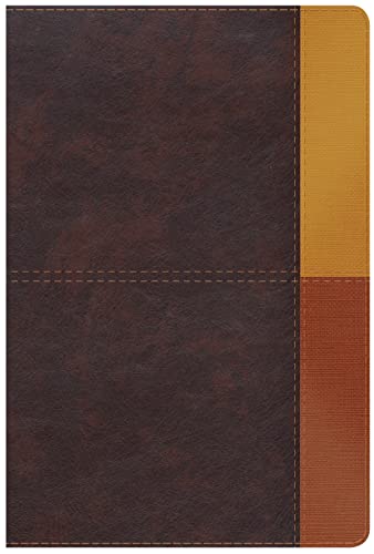 Beispielbild fr RVR 1960 Biblia de Estudio Arco Iris, gris pizarra/oliva s�m: Reina-Valera 1960, Cocoa/Terracota S�mil Piel Leather zum Verkauf von Chiron Media