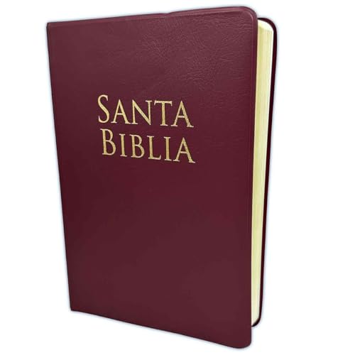 Stock image for Biblia RVR 1960 Letra Grande Tamao Manual Vinilo Borgoa for sale by Red's Corner LLC