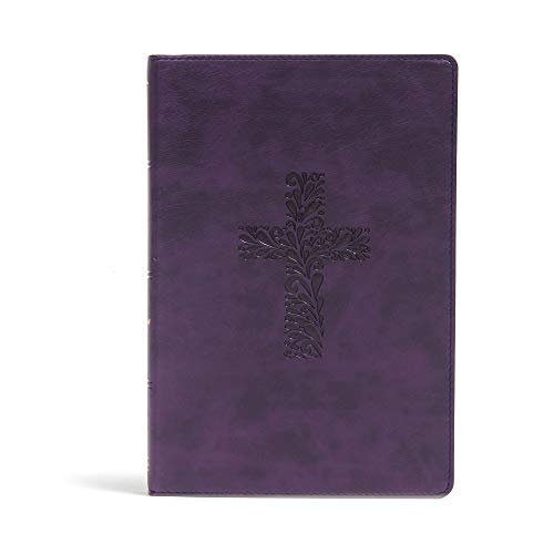 Beispielbild fr KJV Rainbow Study Bible, Purple LeatherTouch, Black Letter, Pure Cambridge Text, Color Coded, Bible Study Helps, Reading Plans, Full-Color Maps, Easy to Read Bible MCM Type zum Verkauf von Greenway