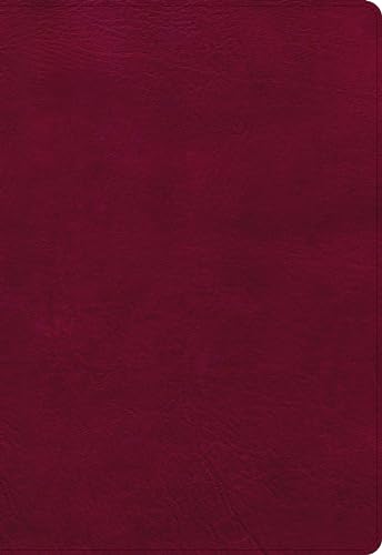 9781087756295: Holy Bible: New American Standard Bible, Super Giant Print Reference Bible, Leathertouch, Burgundy