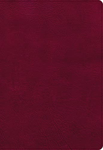 Stock image for The Holy Bible: New American Standard Bible, Burgundy, Leathertouch, Super Giant Print Reference Bible for sale by Revaluation Books