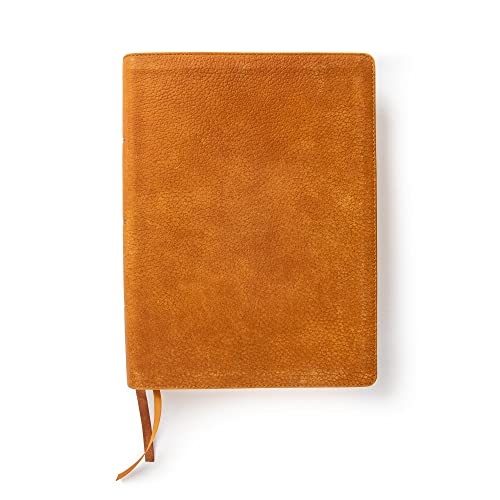 Stock image for CSB Lifeway Women's Bible, Butterscotch Genuine Leather, Black Letter, Single-Column, Wide-Margins, Devotions, Articles, Word Studies, Character Profiles, Easy-to-Read Bible Serif Type for sale by GF Books, Inc.