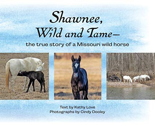 9781087811963: Shawnee, Wild and Tame: The True Story of a Missouri Wild Horse