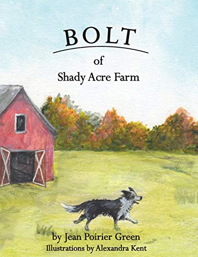 Beispielbild fr Bolt of Shady Acres zum Verkauf von GF Books, Inc.