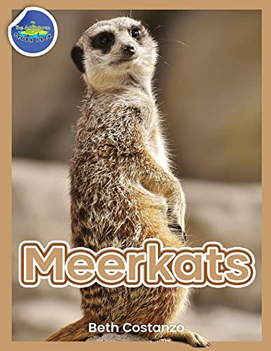 Stock image for Meerkat Activity Workbook For Kids Ages 4-8 for sale by GreatBookPrices