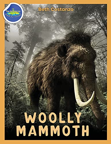Stock image for Woolly Mammoth Activity Workbook Ages 4-8 for sale by GreatBookPrices