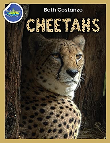 Stock image for Cheetah Activity Workbook Ages 4-8 for sale by GreatBookPrices