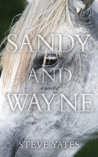 Stock image for Sandy and Wayne for sale by GreatBookPrices