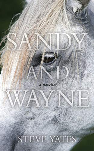 9781087918624: Sandy and Wayne