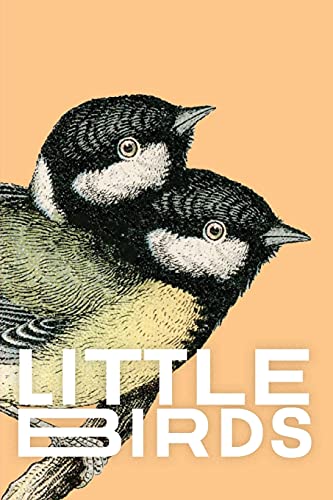 Imagen de archivo de Little Birds a la venta por GreatBookPrices