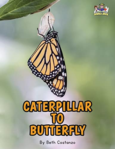 Stock image for Letter C - Caterpillar to Butterfly for Kids 3-8 for sale by Big River Books