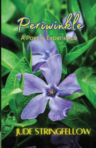 Stock image for Periwinkle for sale by GreatBookPrices