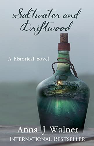 Stock image for Saltwater and Driftwood: A Historical Novel for sale by HPB-Diamond