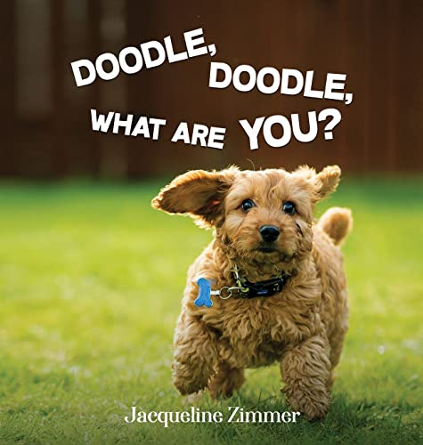 9781088113554: Doodle, Doodle, What Are You?