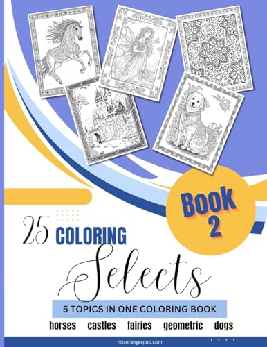9781088254301: 25 Coloring Selects Book 2