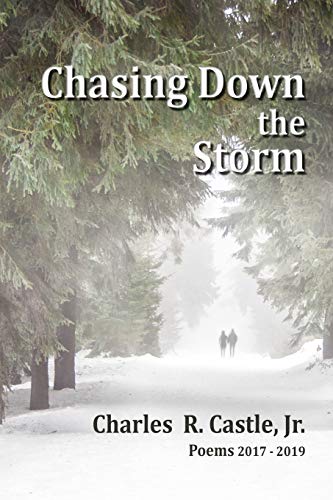 Beispielbild fr Chasing Down the Storm zum Verkauf von Goodwill Books