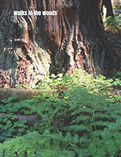 Stock image for Walks in the woods: An extra-large print senior reader classic poetry book with coloring sheets for sale by ThriftBooks-Dallas