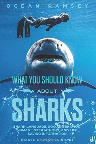 Stock image for What You Should Know About Sharks: Shark Language, social behavior, human inter- actions, and life saving information for sale by Byrd Books
